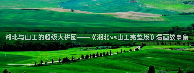 yy漫画黄：湘北与山王的超级大拼图——《湘北vs山王完整版》漫画故事集
