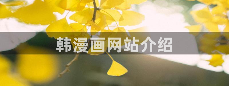 韩国免费漫画yy漫画：韩漫画网站介绍