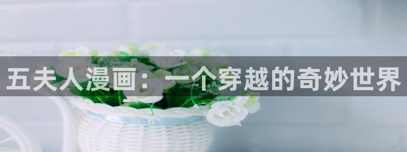 yy漫画漫画网页：五夫人漫画：一个穿越的奇妙世界