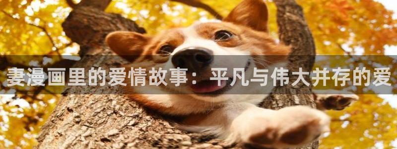 yy漫画免费读漫画下拉式：妻漫画里的爱情故事：平凡与伟大并存的爱