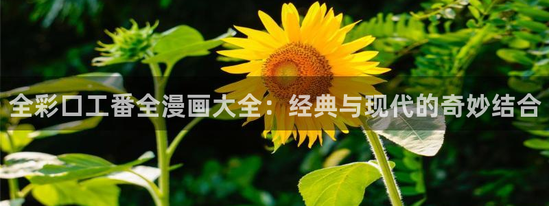yy漫画免费漫画在线：全彩口工番全漫画大全：经典与现代的奇妙结合