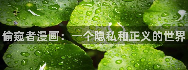 yy漫画 app：偷窥者漫画：一个隐私和正义的世界