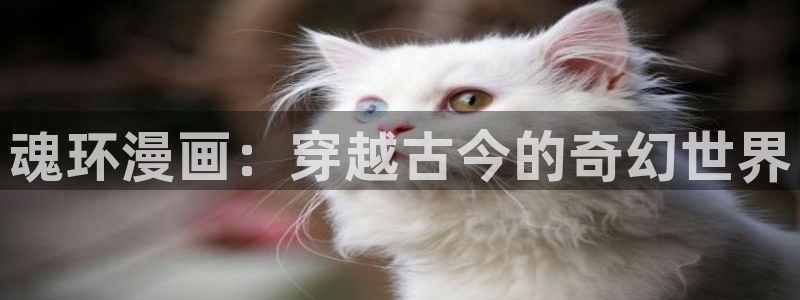 秋蝉yy漫画：魂环漫画：穿越古今的奇幻世界
