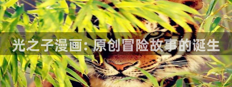 yy漫画在线免费阅读：光之子漫画: 原创冒险故事的诞生