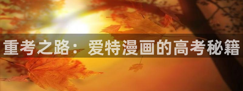 yy漫画登录页面免费漫画在线登：重考之路：爱特漫画的高考秘籍